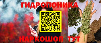 соль ск Кингисепп