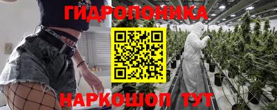 гидропоника Кинель