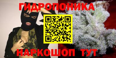 гидропоника Кинель