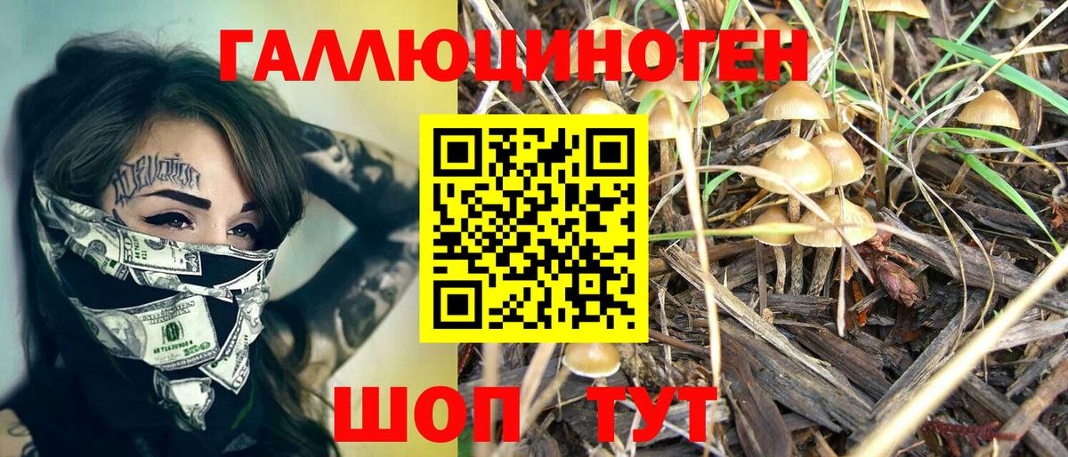 Галлюциногенные грибы мицелий  Галлюциногенные грибы Psilocybine cubensis  Костомукша  Вход с VPN 